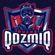 QozmiQ Gamer