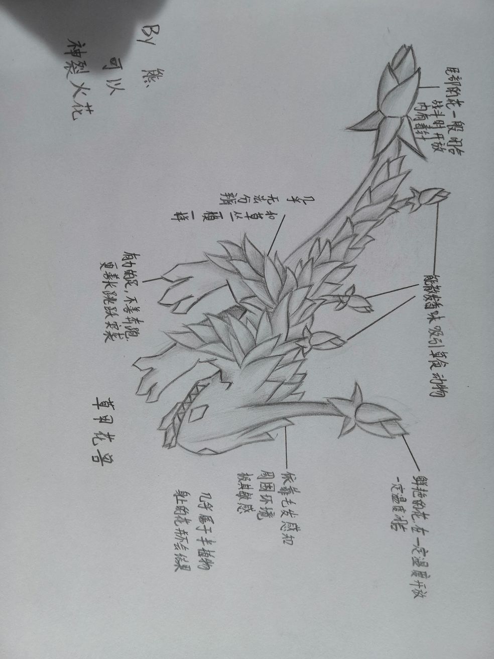 设计武器 Time To Hunt Search Results Taptap